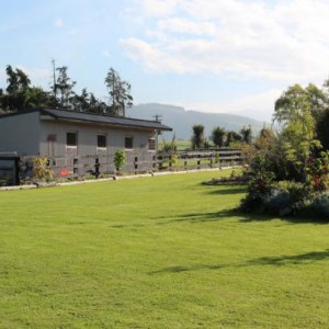 Stud tour and yearling parade